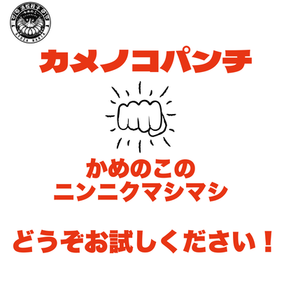 浜松餃子「かめのこ」の餃子　ニンニクマシマシ（計20個/20個×1箱）+浜松餃子「かめのこ」の餃子（計40個/20個×2箱）