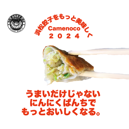 浜松餃子「かめのこ」の餃子　ニンニクマシマシ（計60個/20個×3箱）