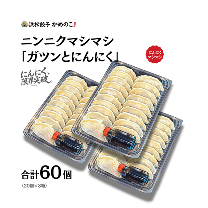 ニンニクマシマシ(ガツン)×3箱